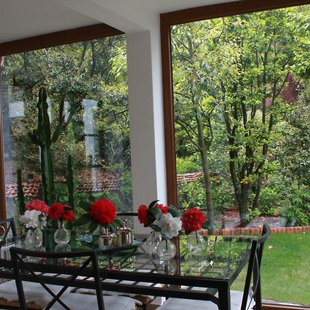 La Camelia D'Oro Apartman Oggebio Kültér fotó