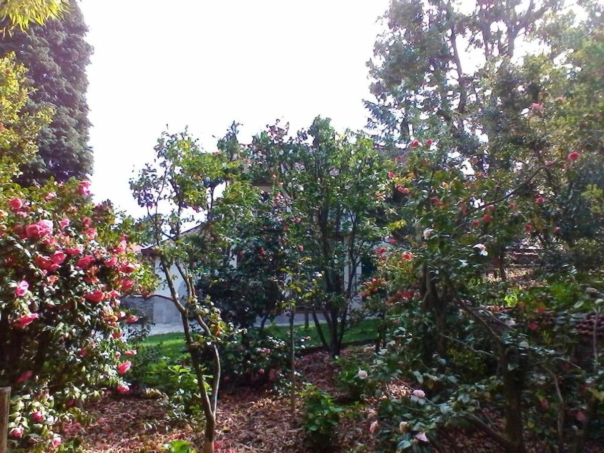 La Camelia D'Oro Apartman Oggebio Kültér fotó