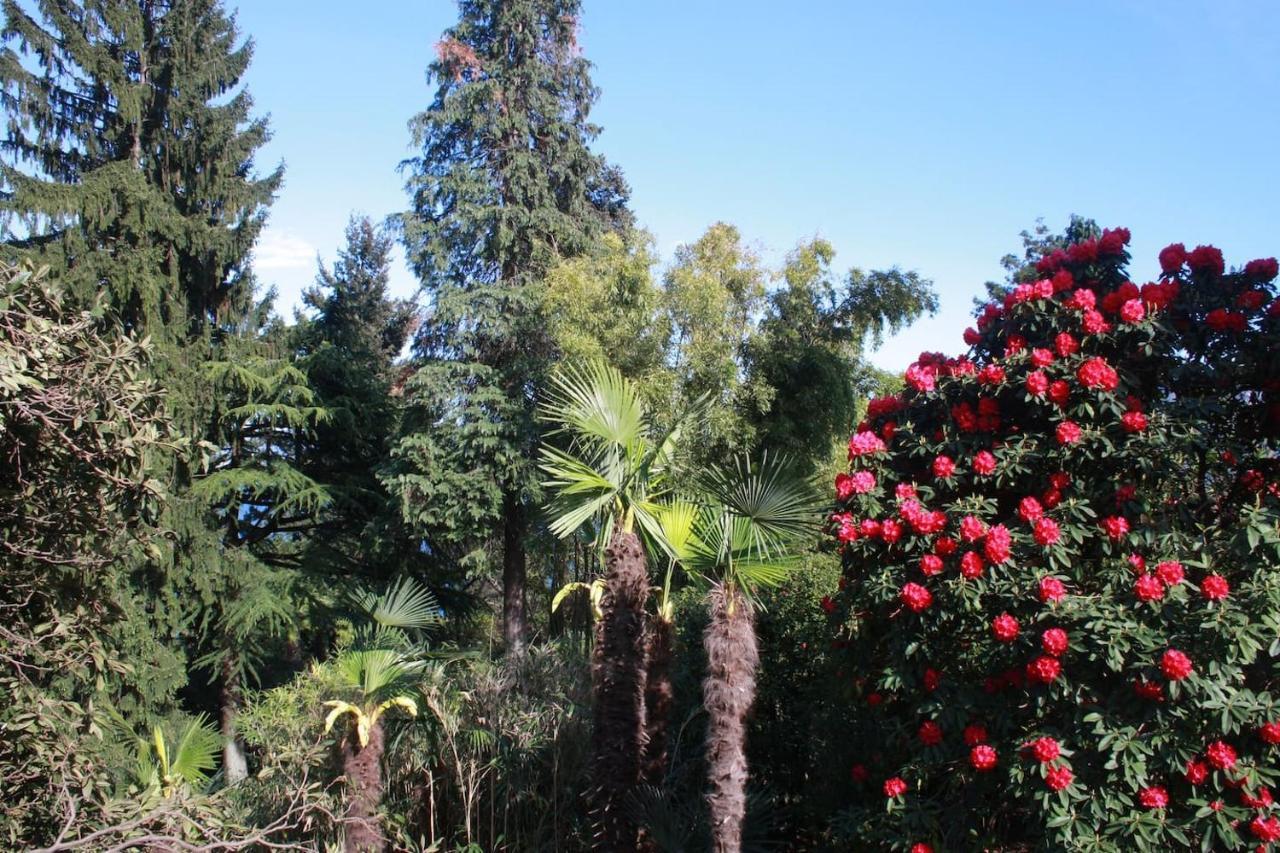 La Camelia D'Oro Apartman Oggebio Kültér fotó